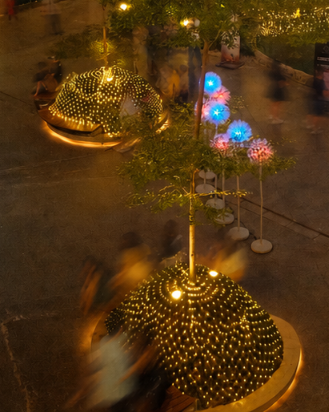 NET LIGHT