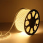 Eco Bright High Quality LED Strip Light Waterproof 220V (Sold Per Meter)