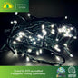 Fuji Bright 100 LED String with 8 Function Christmas Lights & End Connector Christmas Lights