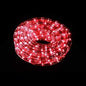 Fuji Bright 10 Meters Blinking / Steady LED Rope Light with End Connector