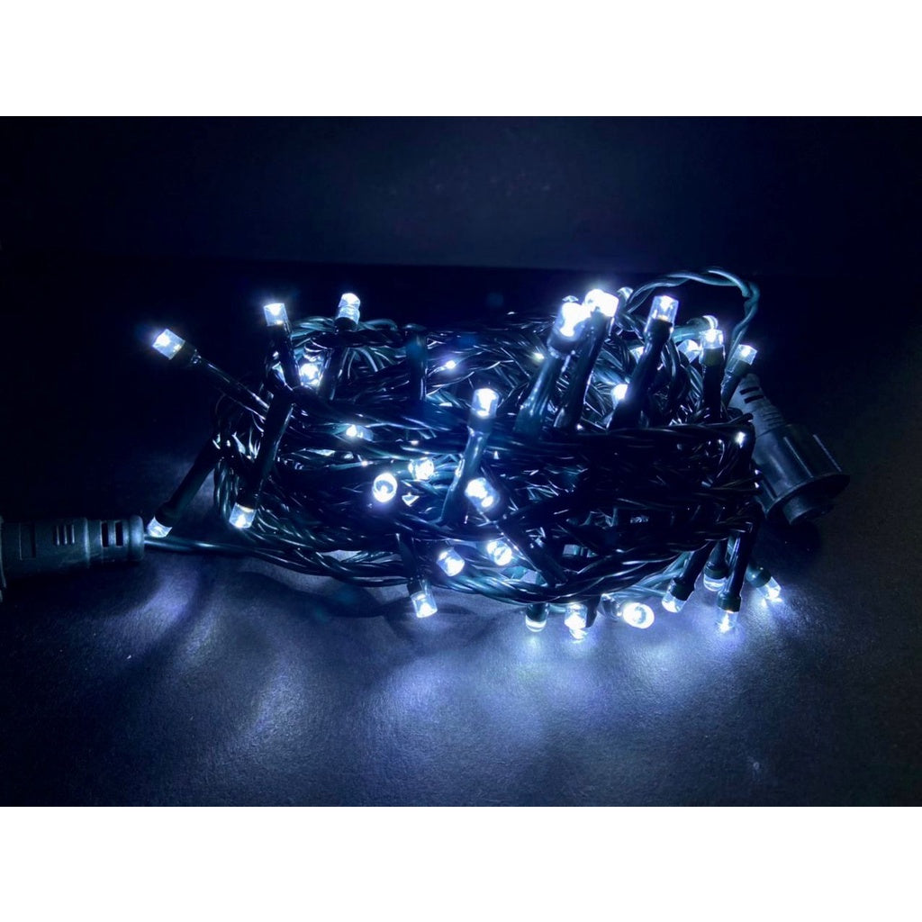 Eco Bright Christmas Lights 100 LED String Lights Steady or with 8 Function Chasing Controller