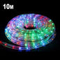 Fuji Bright 10 Meters Blinking / Steady LED Rope Light with End Connector
