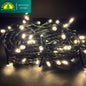 Fuji Bright 100 LED String with 8 Function Christmas Lights & End Connector Christmas Lights