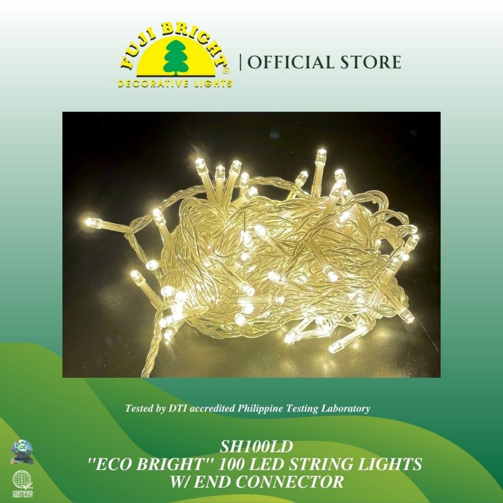 Eco Bright Christmas Lights 100 LED String Lights Steady or with 8 Function Chasing Controller