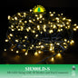 Fuji Bright 300 LED Christmas Lights Steady with Strobes and End Connector (Warm White LED)