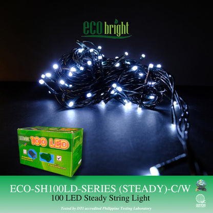 Eco Bright Christmas Lights 100 LED String Lights Steady or with 8 Function Chasing Controller