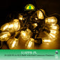 FUJI BRIGHT 18 LED PINGPONG LIGHTS IN GLS BULB & END CONNECTOR- OUTDOOR USE CHRISTMAS LIGHTS