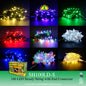 Fuji Bright 100 LED Steady String Christmas Lights with End Connector